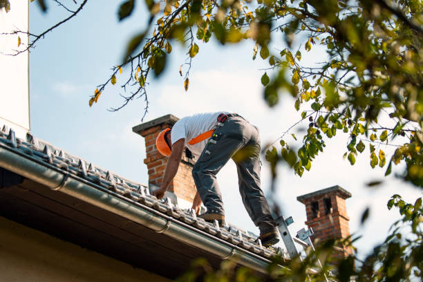 Best Local Roofing Companies  in Rose Hill, VA