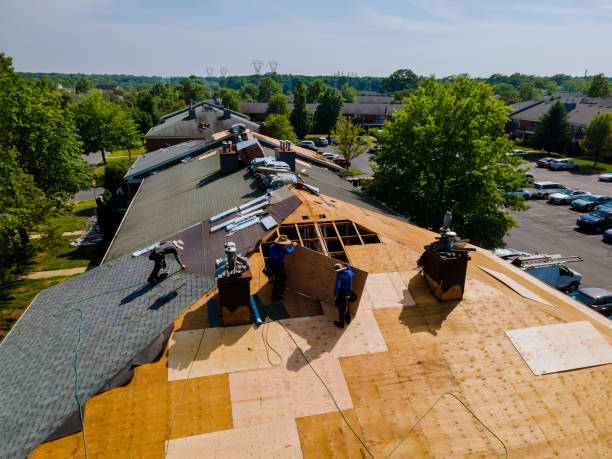 Best Storm Damage Roof Repair  in Rose Hill, VA