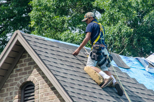 Best Gutter Installation and Roofing  in Rose Hill, VA